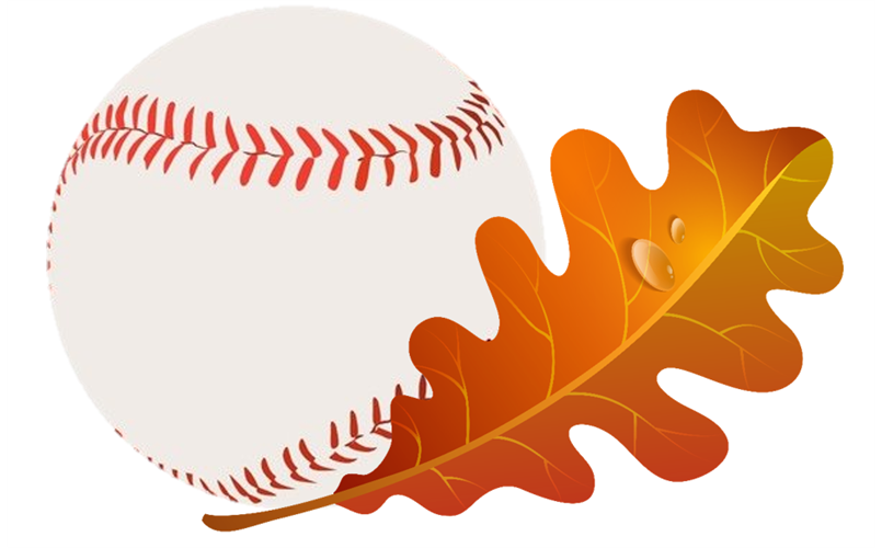 Fall ball registration is now open!