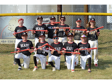 Novi Heat Baseball - Home